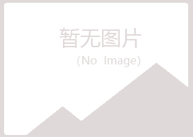 平川区忘记出版有限公司